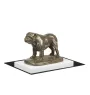 Bulldog, Englische Bulldogge - Hundestatue, Figur auf weißem Sockel, Trophäe für die Art-Dog-Hundeaustellung.