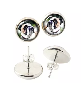 Bulldog, Englische Bulldogge - Ohrringe in einer Schachtel, Ihr Foto, handgefertigter Schmuck, Eigenmarke von Art-Dog.