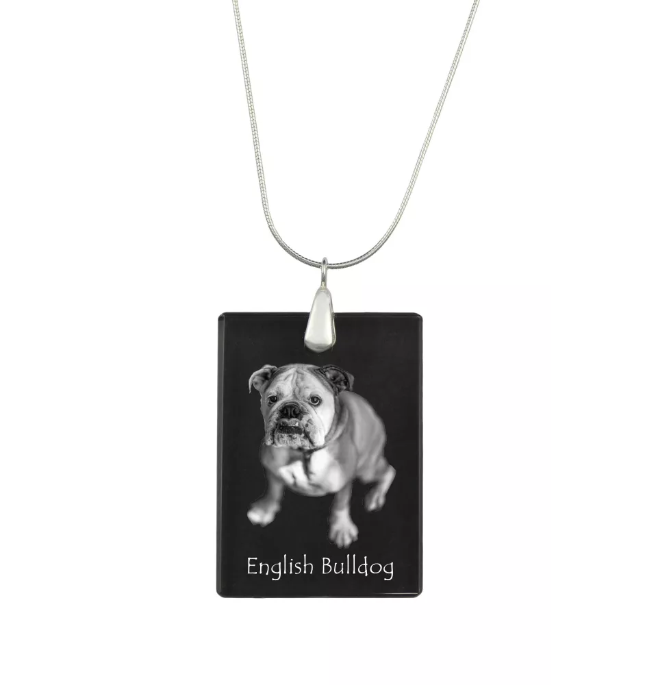 Bulldog, Englische Bulldogge - Kristallanhänger mit Hund, Silberhalskette mit Foto, personalisierter Anhänger der Marke Art-Dog