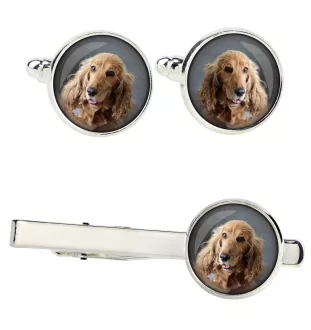 Cocker spaniel angielski zestaw spinek w pudełku ze zdjęciem Art-Dog