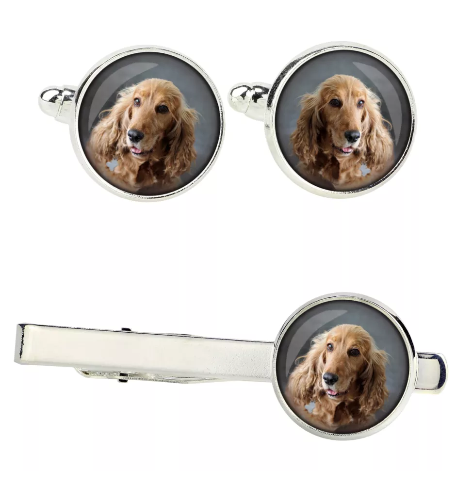 Cocker spaniel angielski zestaw spinek w pudełku ze zdjęciem Art-Dog