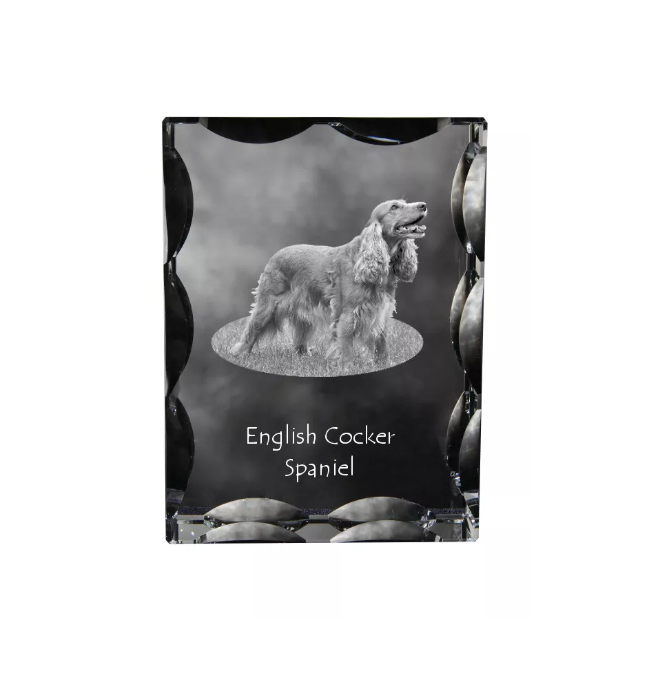 English Cocker Spaniel, Englische Cockerspaniel  - Kristall mit einem Hundebild, Glasstatuette mit einem Bild, einzigartiger Bilderrahmen der Marke Art-Dog
