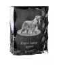 English Cocker Spaniel, Englische Cockerspaniel  - Kristall mit einem Hundebild, Glasstatuette mit einem Bild, einzigartiger Bilderrahmen der Marke Art-Dog