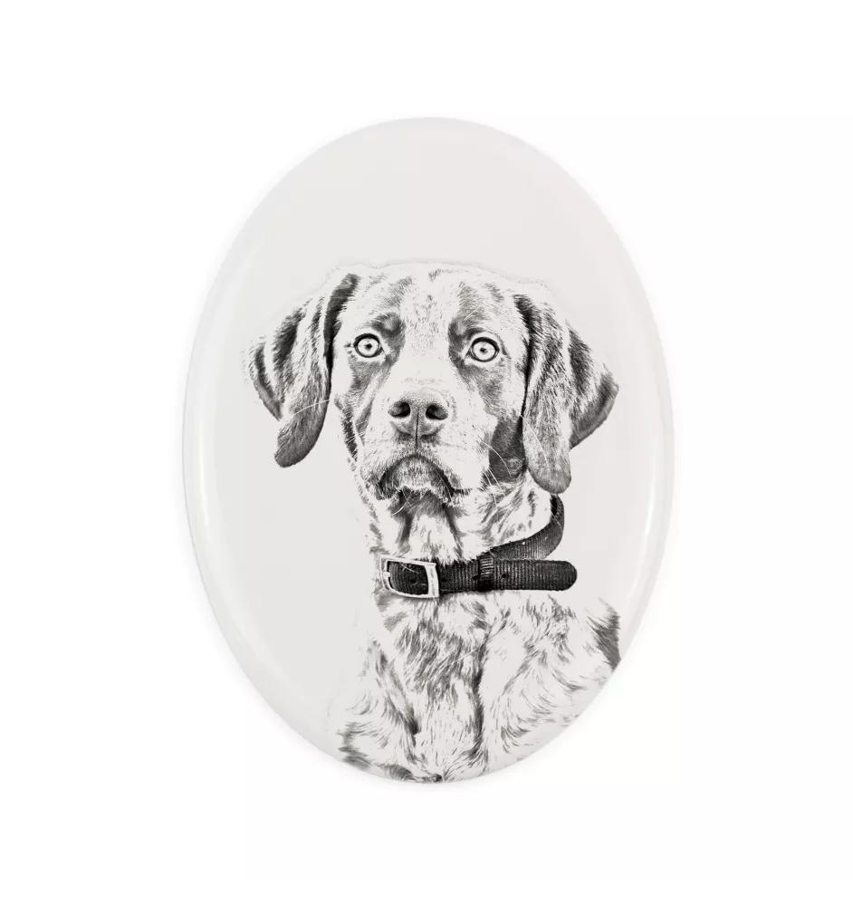 English Pointer II - commemorative plaque with a photo of a dog, tombstone with a print, personalized oval plaque from the Art-Dog brand