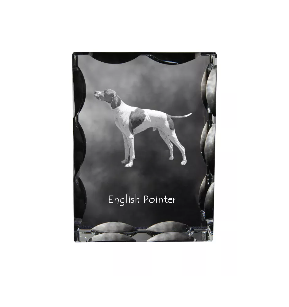 English Pointer, Englischer Pointer - Kristall mit einem Hundebild, Glasstatuette mit einem Bild, einzigartiger Bilderrahmen der Marke Art-Dog
