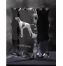 Pointer anglais - cristal avec photo de chien, statuette en verre avec photo, cadre exceptionnel avec photo de la marque Art-Dog