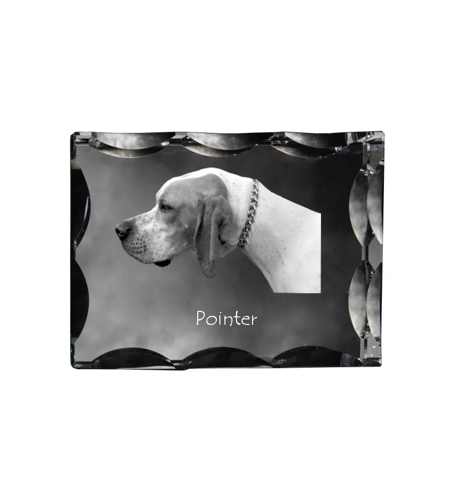 Pointer I ramka kryształowa z psem Art-Dog