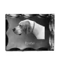 English Pointer I - crystal with a picture of a dog, glass statuette with a picture, unique frame with a picture from Art-Dog brand