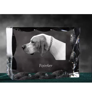 Pointer anglais I - cristal avec photo de chien, statuette en verre avec photo, cadre exceptionnel avec photo de la marque Art-Dog