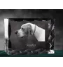 Pointer I ramka kryształowa z psem Art-Dog