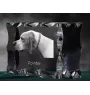 English Pointer I - crystal with a picture of a dog, glass statuette with a picture, unique frame with a picture from Art-Dog brand