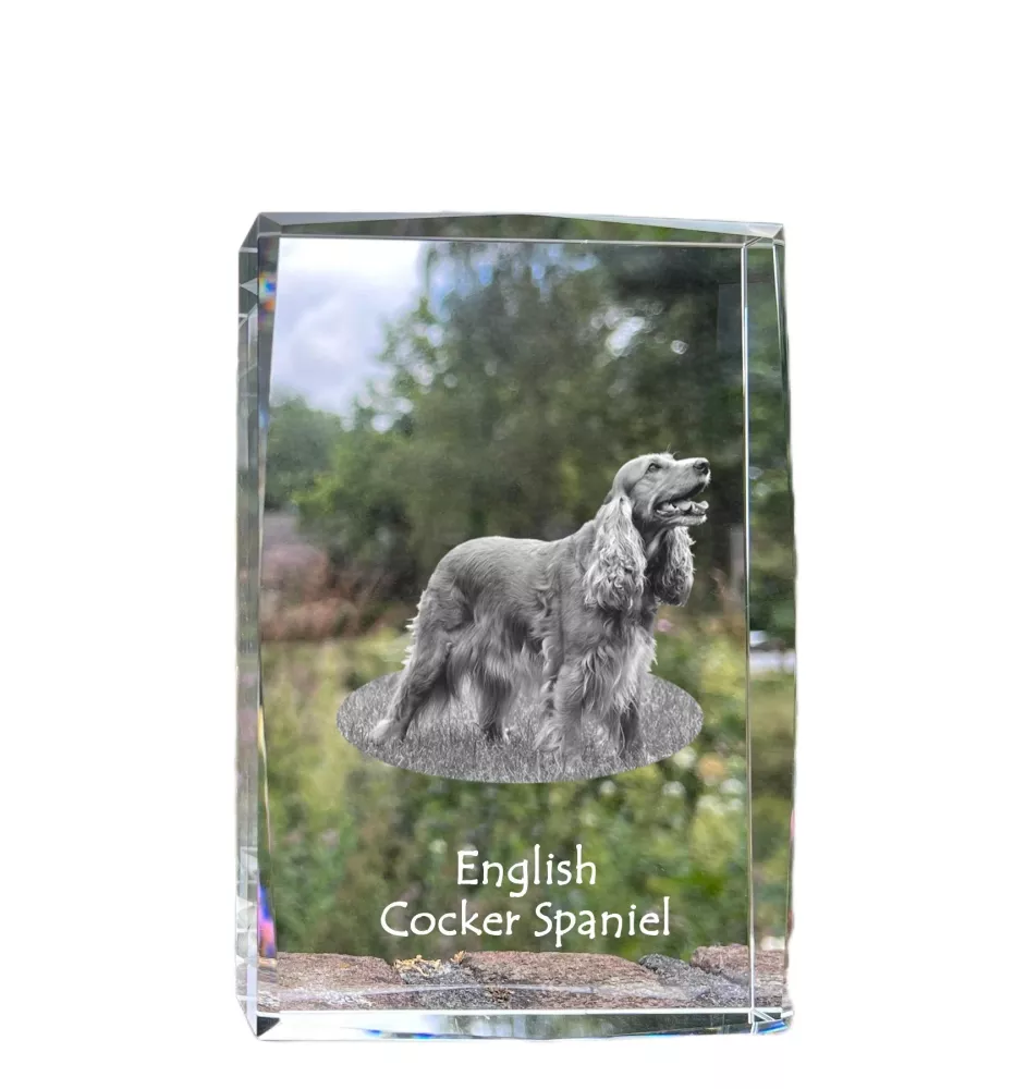 English Cocker Spaniel - crystal with a picture of a dog, photo in glass, modern exhibition of Art-Dog brand photo