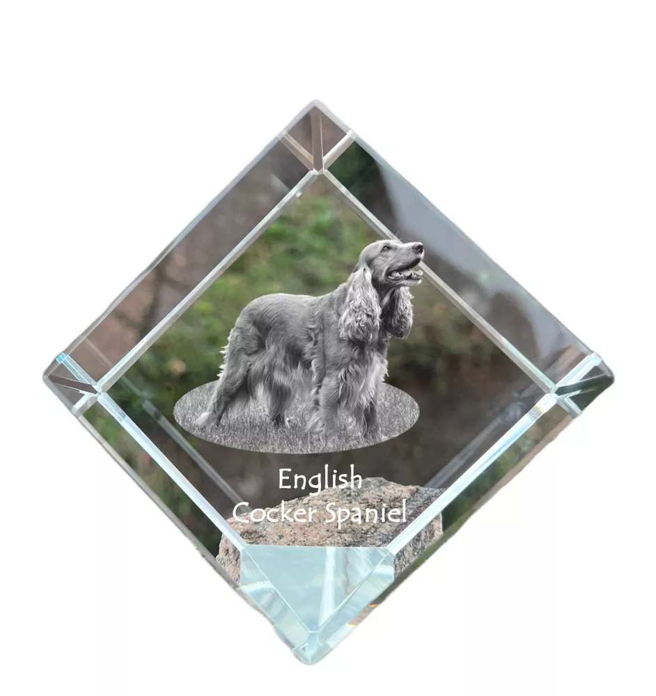 Cocker spaniel anglais - un cube de cristal avec une photo, une photo de cheval dans le cristal, un presse-papiers cubique de la marque Art-Dog