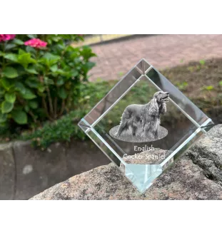 Cocker spaniel anglais - un cube de cristal avec une photo, une photo de cheval dans le cristal, un presse-papiers cubique de la marque Art-Dog
