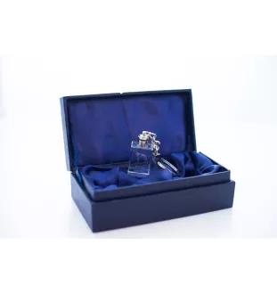 English Pointer, Englischer Pointer - Schlüsselanhänger aus Kristall mit Hundefoto, beleuchteter Schlüsselanhänger, einzigartiges Geschenk der Marke Art-Dog