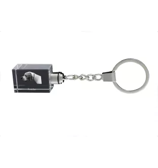 English Pointer I - Crystal key ring with dog photo, illuminated key ring, unique gift by Art-Dog brand