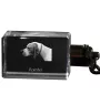 Pointer anglais I - Porte-clés en cristal avec photo de chien, porte-clés lumineux, cadeau unique de la marque Art-Dog