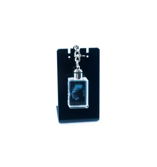 Pointer anglais I - Porte-clés en cristal avec photo de chien, porte-clés lumineux, cadeau unique de la marque Art-Dog