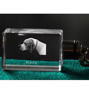 Pointer anglais I - Porte-clés en cristal avec photo de chien, porte-clés lumineux, cadeau unique de la marque Art-Dog
