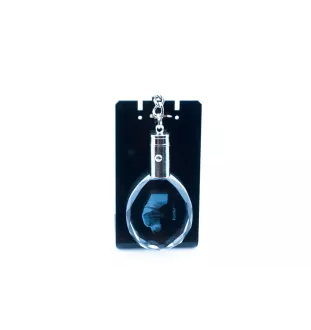 English Pointer I - pendant with a photo of a dog, crystal key ring in a gift box, a unique gift by Art-Dog