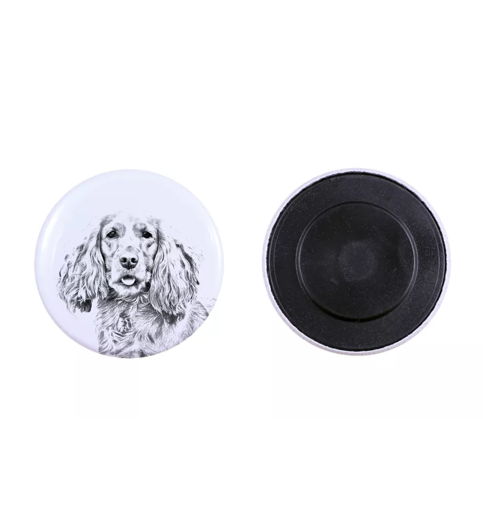 Cocker spaniel anglais - aimant avec un œil de chien, exceptionnellement léger, aimant puissant, produit fabriqué à la main par la marque Art-Dog