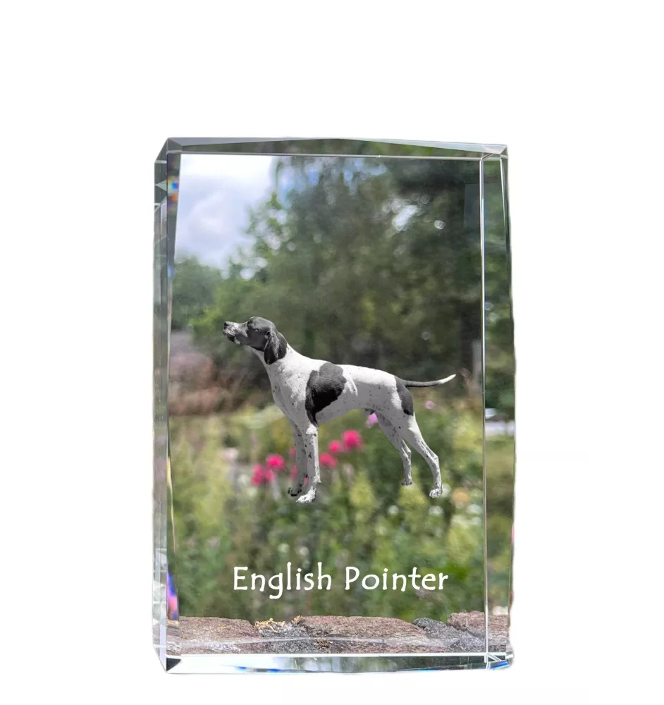 Pointer anglais - cristal avec une photo de chien, photo sous verre, exposition moderne de la marque de photos Art-Dog