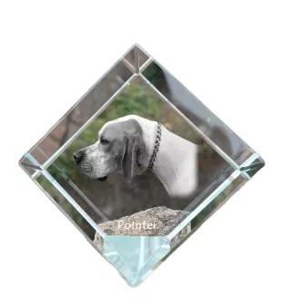 Pointer I kostka kryształowa z psem Art-Dog