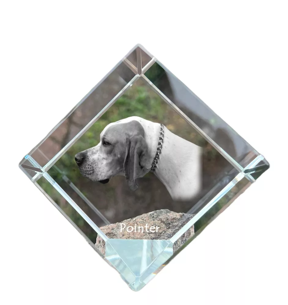 English Pointer, Englischer Pointer I - Kristallwürfel mit Bild, Pferdebild im Kristall, sechseckiger Papierclip der Marke Art-Dog
