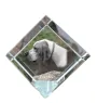 English Pointer, Englischer Pointer I - Kristallwürfel mit Bild, Pferdebild im Kristall, sechseckiger Papierclip der Marke Art-Dog