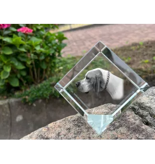 English Pointer I - crystal cube with a photo, photo of a horse in crystal, cubic paperweight from Art-Dog brand