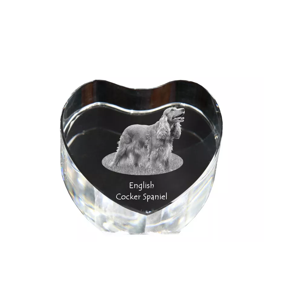 English Cocker Spaniel - a photo of a dog in crystal, crystal heart, unique photo frame from the Art-Dog brand