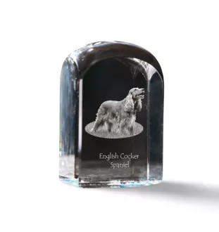 English Cocker Spaniel - crystal cube with a photo, photo of a dog in crystal, cubic paperweight from Art-Dog brand
