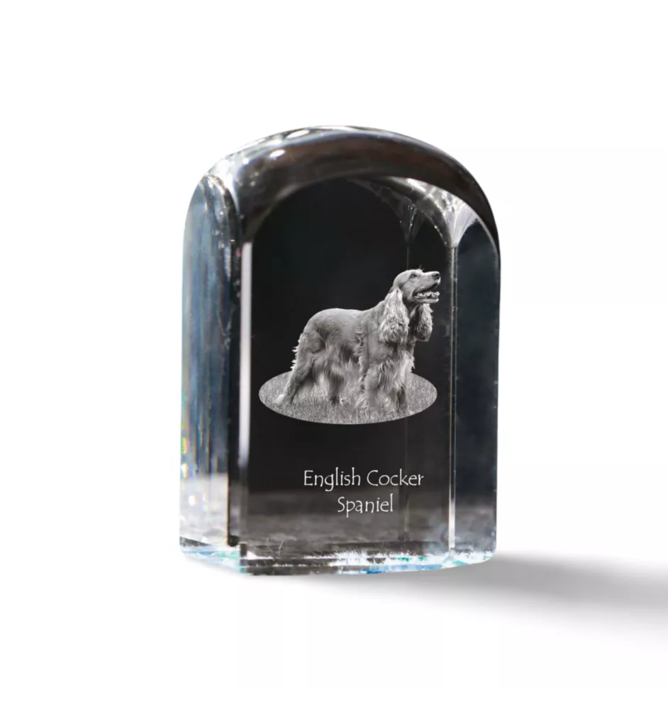 English Cocker Spaniel - crystal cube with a photo, photo of a dog in crystal, cubic paperweight from Art-Dog brand