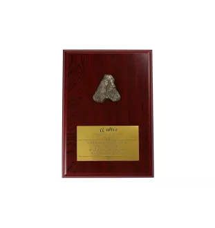 English Cocker Spaniel, Englische Cockerspaniel  I - Flachrelief eines Hundes, kleiner Dekor, realistische Plakette mit Hund von der Marke Art-Dog
