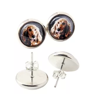 Cocker spaniel angielski kolczyki w pudełku ze zdjęciem Art-Dog