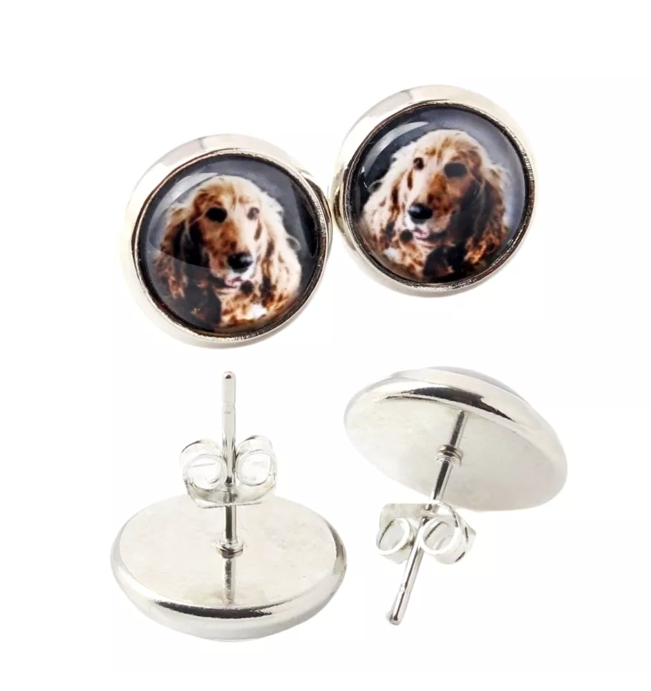 Cocker spaniel angielski kolczyki w pudełku ze zdjęciem Art-Dog