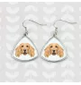 English Cocker Spaniel, Englische Cockerspaniel  - Ohrringe mit einem Bild und dem Schriftzug "Geometrischer Hund" von Art-Dog