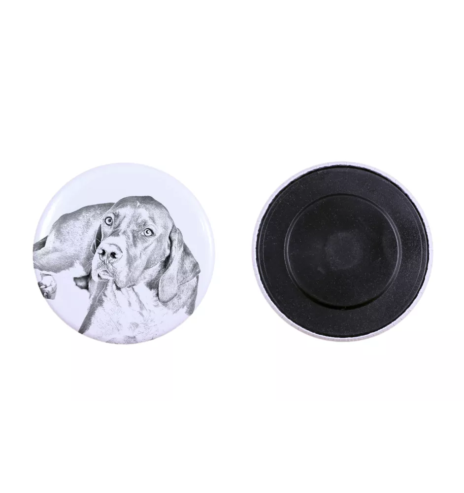 English Pointer I - magnet with a dog's pupil, exceptionally light, strong magnet, handmade product by the Art-Dog brand
