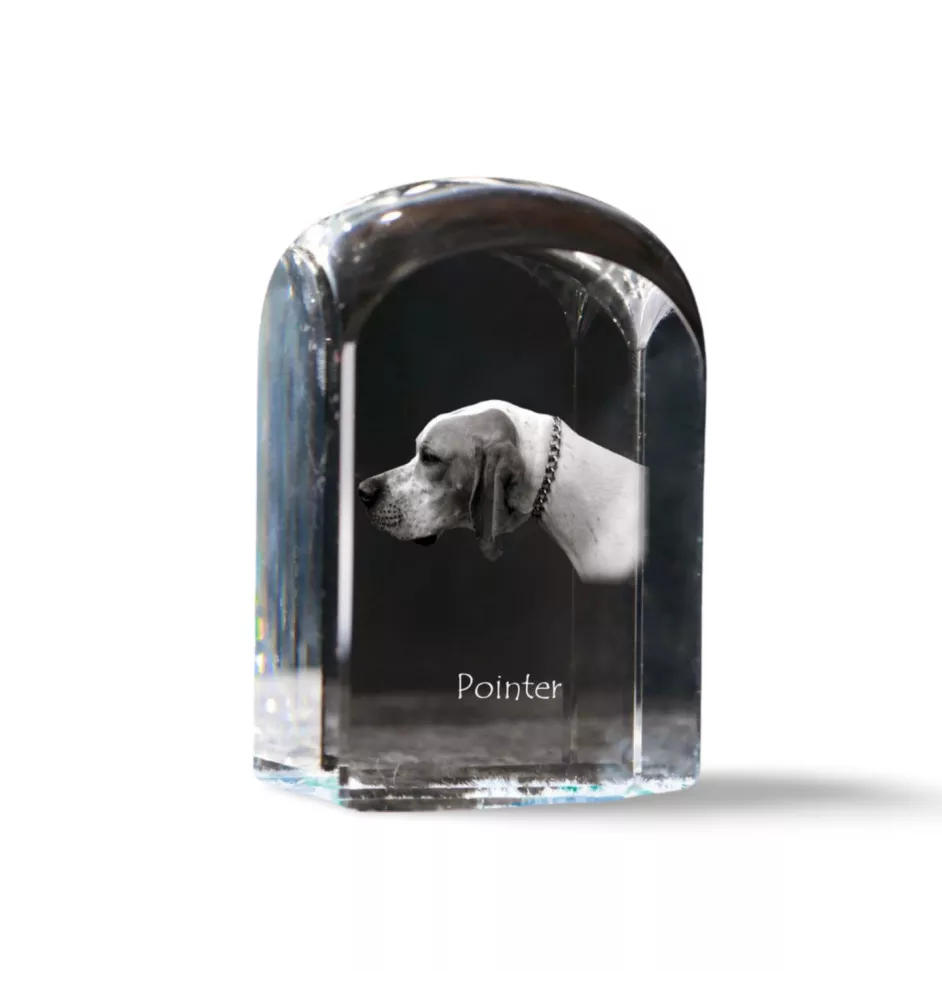 English Pointer, Englischer Pointer I - Kristallwürfel mit Bild, Hundebild im Kristall, sechseckiger Papierclip von Art-Dog.