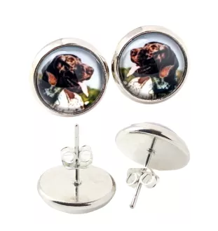 English Pointer, Englischer Pointer - Ohrringe in einer Schachtel, Ihr Foto, handgefertigter Schmuck, Eigenmarke von Art-Dog.