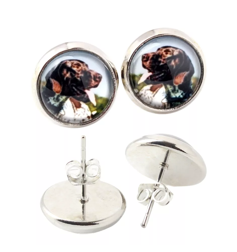 Pointer anglais - boucles d'oreilles dans une boîte, votre photo, bijoux faits à la main, produit de la marque Art-Dog.