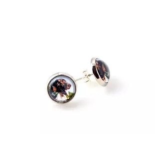 English Pointer, Englischer Pointer - Ohrringe in einer Schachtel, Ihr Foto, handgefertigter Schmuck, Eigenmarke von Art-Dog.