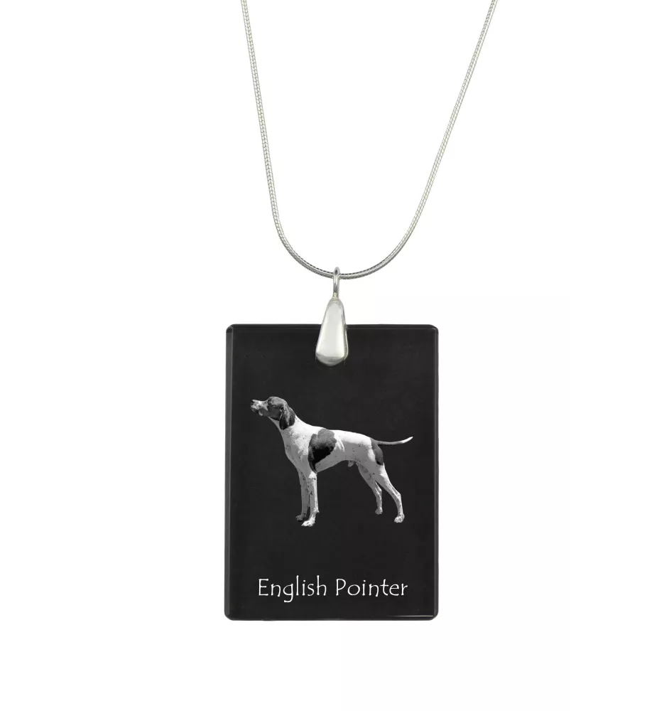 Pointer anglais - Pendentif en cristal avec chien, collier en argent avec photo, pendentif personnalisé par la marque Art-Dog