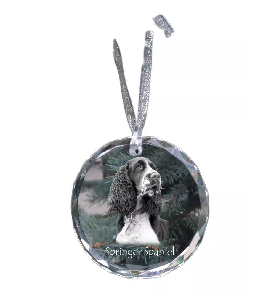 English Springer Spaniel - Kristallkugel mit Foto, Hundebild im Kristall, personalisierter Christbaumschmuck von Art-Dog.