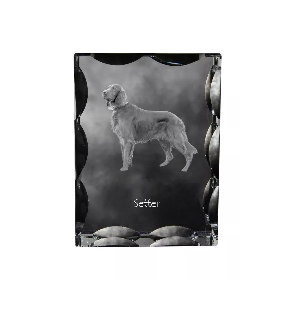 English setter, Lawerack, Laverack I - crystal with a picture of a dog, glass statuette with a picture, unique frame with a picture from Art-Dog brand