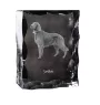 Seter angielski ramka kryształowa z psem Art-Dog