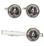Springer spaniel angielski zestaw spinek w pudełku ze zdjęciem Art-Dog