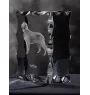 English setter, Lawerack, Laverack I - crystal with a picture of a dog, glass statuette with a picture, unique frame with a picture from Art-Dog brand