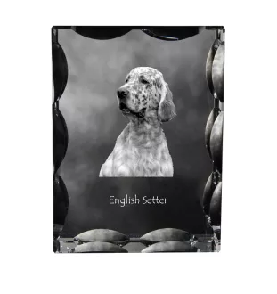 Setter anglais, Setter laverack - cristal avec photo de chien, statuette en verre avec photo, cadre exceptionnel avec photo de la marque Art-Dog
