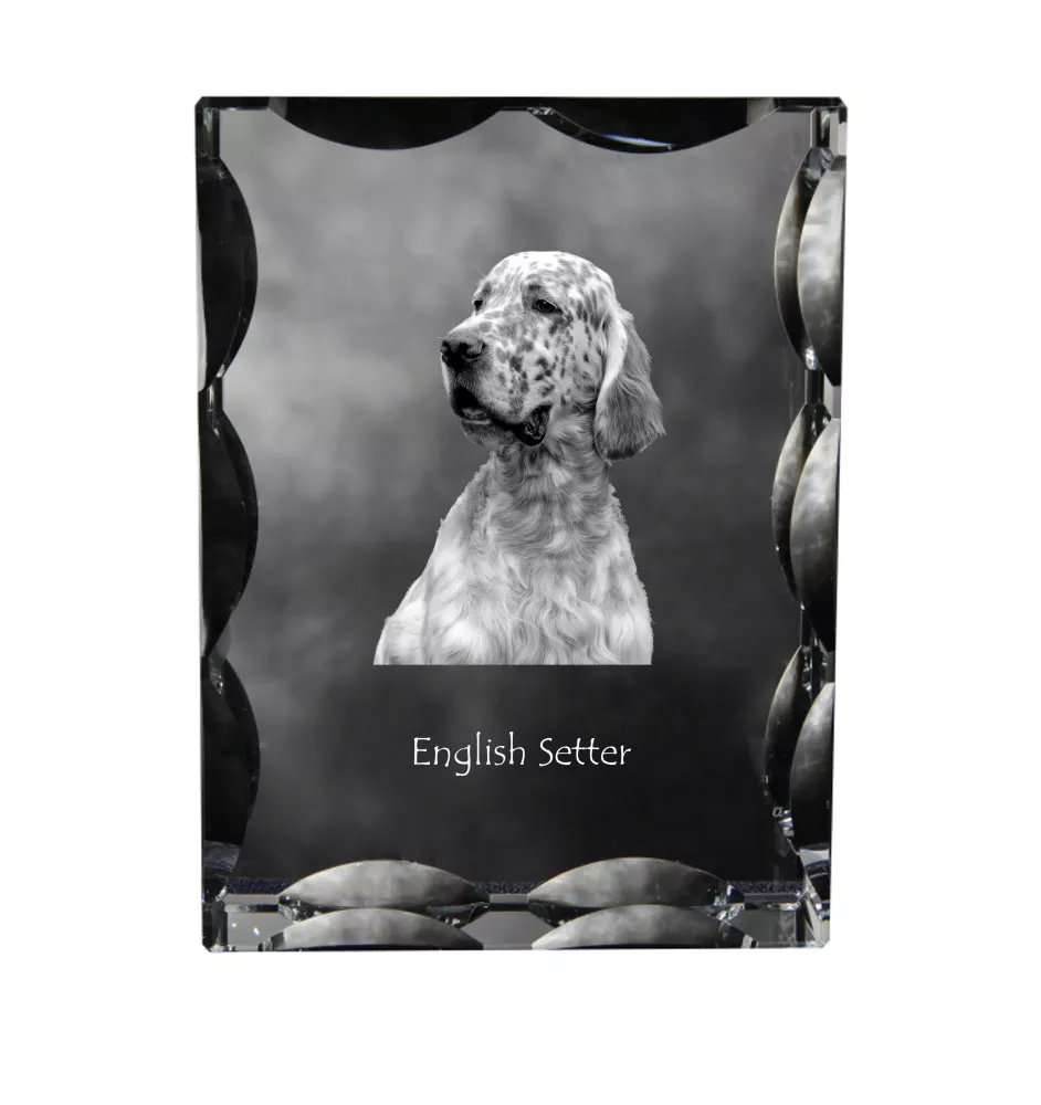 Setter anglais, Setter laverack - cristal avec photo de chien, statuette en verre avec photo, cadre exceptionnel avec photo de la marque Art-Dog